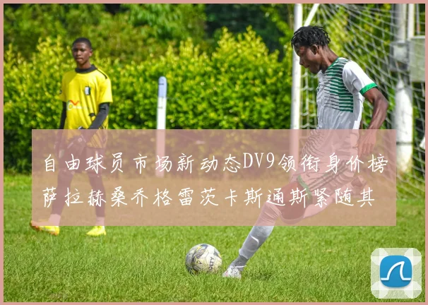 自由球员市场新动态DV9领衔身价榜萨拉赫桑乔格雷茨卡斯通斯紧随其后